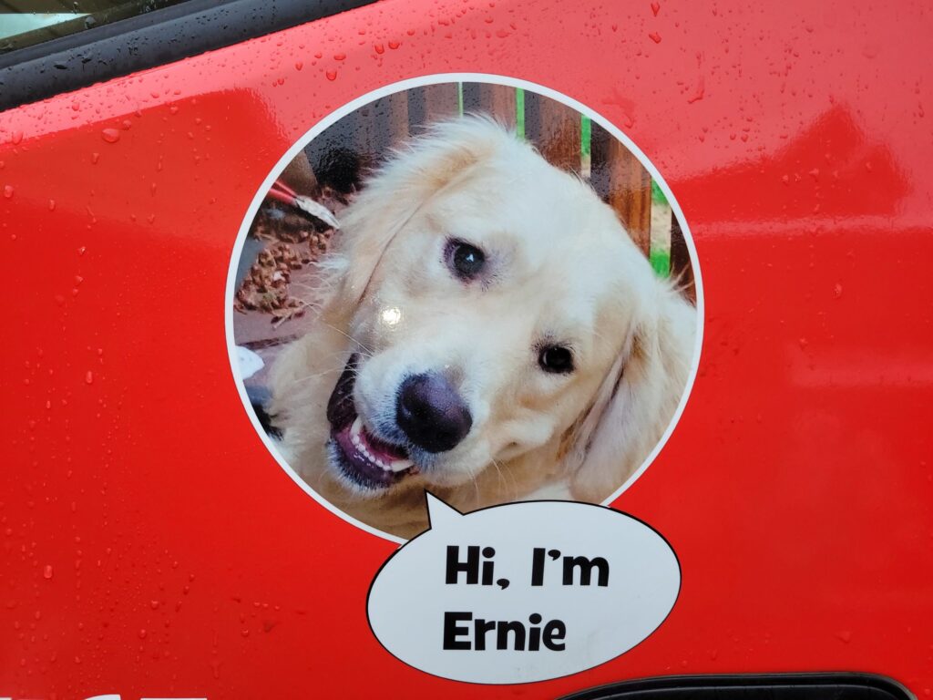 hi i'm ernie