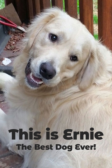 ernie dog